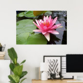Poster Pink Lilly Dans Pond (Bureau à domicile)