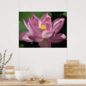 Poster Pink Lotus Flower IV (Cuisine)
