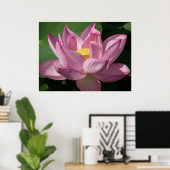 Poster Pink Lotus Flower IV (Bureau à domicile)