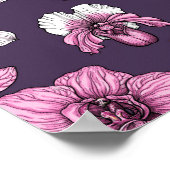 Poster Pink orchid flowers (Coin)