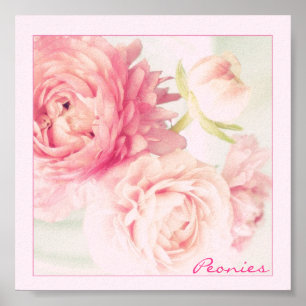 Poster Pink Peonies