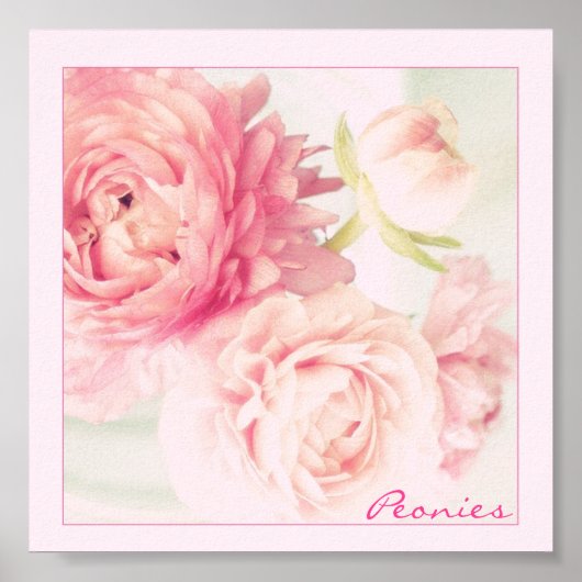 Poster Pink Peonies (Devant)