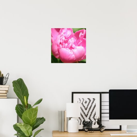 Poster Pink Peony (Bureau à domicile)