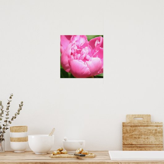 Poster Pink Peony (Cuisine)