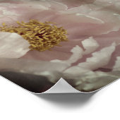 Poster Pink Peony Flower Center Abstrait Vintage (Coin)