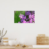 Poster Pink Phlox et Grass été Floral (Cuisine)