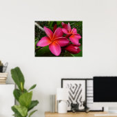 Poster Pink Plumeria (Bureau à domicile)