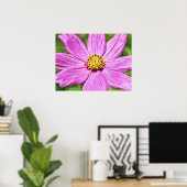 Poster Pink Purple Cosmos Fleur Art Photographique Imprim (Bureau à domicile)