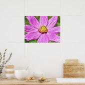 Poster Pink Purple Cosmos Fleur Art Photographique Imprim (Cuisine)