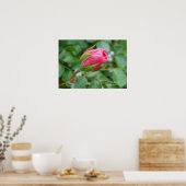 Poster Pink Rose Bud Print - Sélectionnez Votre Cadre (Cuisine)