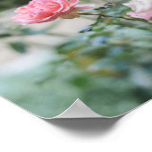 Poster Pink Rose Garden Bible Verse (Coin)