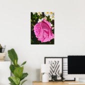 Poster Pink Rose Roses Flower Garden L'Ouche Cabbage (Bureau à domicile)