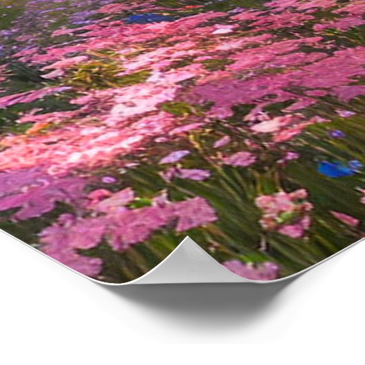 Poster Pink Sakura Meadows (Coin)