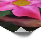 Poster Pink Tropical Flowers Photographie Art Imprimer (Coin)
