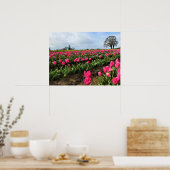 Poster Pink Tulip Field (Cuisine)