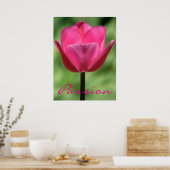 Poster Pink Tulip Passion (Cuisine)