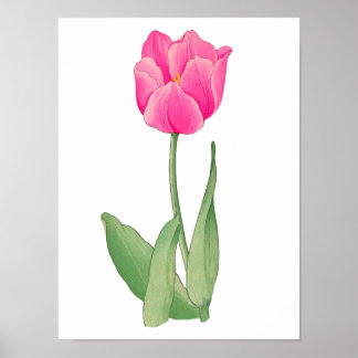 Poster Pink tulip , vintage Japanese art 12 x 1`6