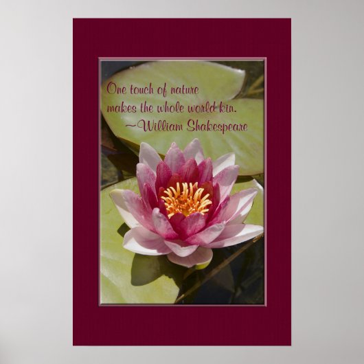 Poster Pink Water Lily Flower Gros plan Photo personnalis (Devant)