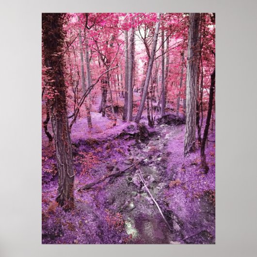 Poster Pink Wonderland (Devant)