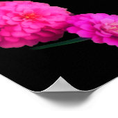 Poster Pink Zinnia Flower Pair Art Abstrait (Coin)