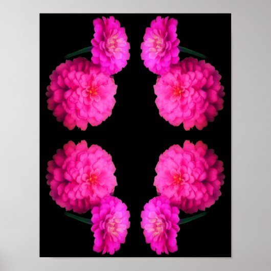 Poster Pink Zinnia Flower Pair Art Abstrait (Devant)