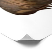 Poster Pinnipèdes du monde (Coin)