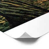 Poster Pins au coucher du soleil par Vincent van Gogh (Coin)