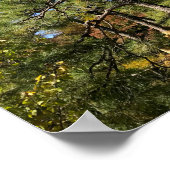 Poster Pins dans le ciel d'automne (Coin)