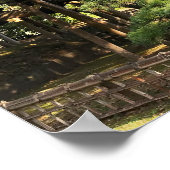 Poster Pins de 300 ans (Coin)