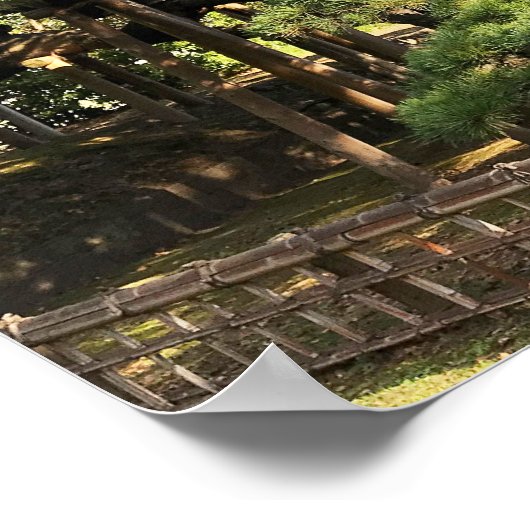 Poster Pins de 300 ans (Coin)