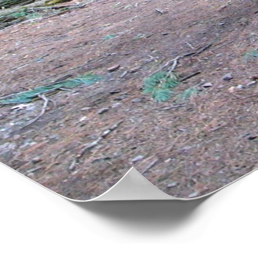 Poster pins de la cathédrale (Coin)