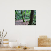 Poster pins de la cathédrale (Cuisine)