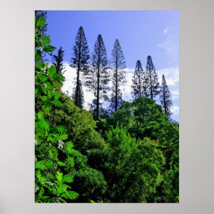 Poster Pins de Norfolk Island