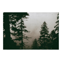 Pins Forêt Pins Nature Vintage Pins Forêt