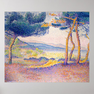 Poster Pins le long du rivage