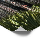 Poster Pins plantés et palmette de scie (Coin)