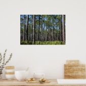 Poster Pins plantés et palmette de scie (Cuisine)