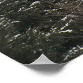 POSTER PINS VERTS (Coin)