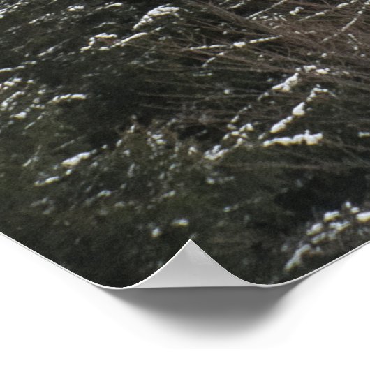 POSTER PINS VERTS (Coin)