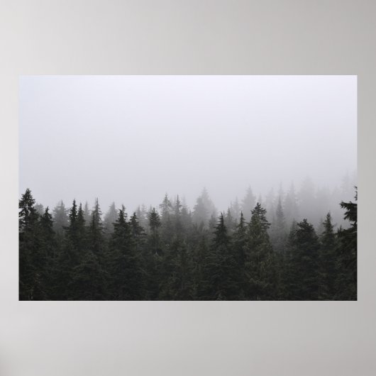 POSTER PINS VERTS SOUS LE CIEL BLANC (Devant)