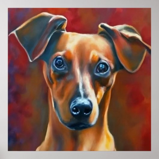 Poster Pinscher autrichien - Portrait de chien (Devant)