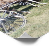 Poster Pinto Amish Horse (Coin)