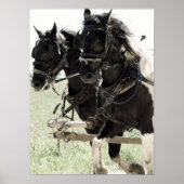 Poster Pinto Drafts au travail (Devant)