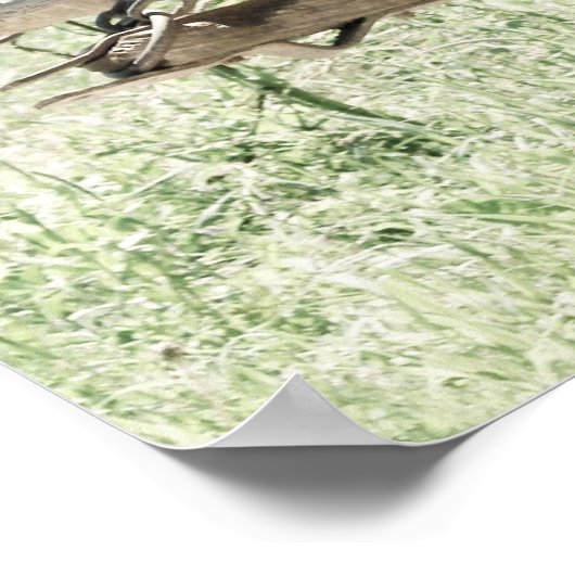 Poster Pinto Drafts au travail (Coin)