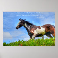 Pinto Paint & Clouds Ranch Horse w Poem Photo