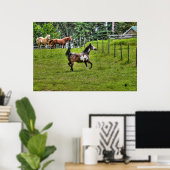 Poster Pinto Paint & Herd Ranch Horse Equine Photo (Bureau à domicile)
