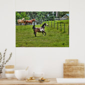 Poster Pinto Paint & Herd Ranch Horse Equine Photo (Cuisine)