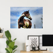 Poster Pinto Paint & Nuages Ranch Horse Equine Photo (Bureau à domicile)