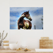 Poster Pinto Paint & Nuages Ranch Horse Equine Photo (Cuisine)