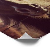Poster Pinto Pony (Coin)